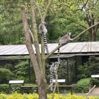 IMG_0613-1200