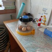 IMG_20260510_133653-1200