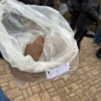 b0f8b3ad-5eae-4492-9971-cd8183b7d8b0-1200